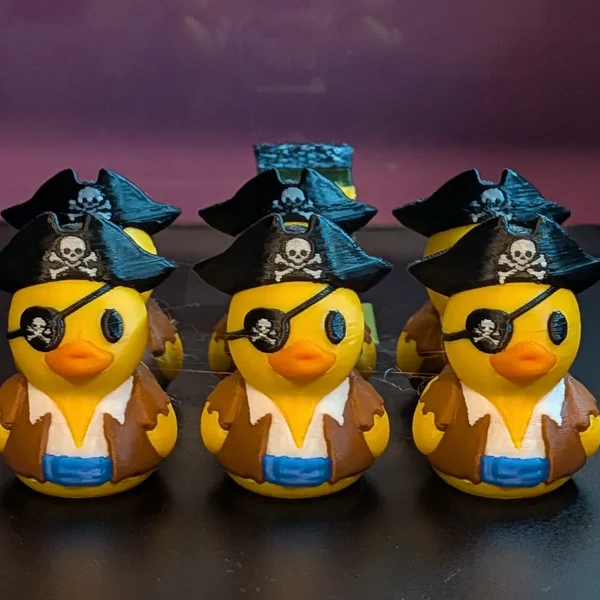 Pirate duck